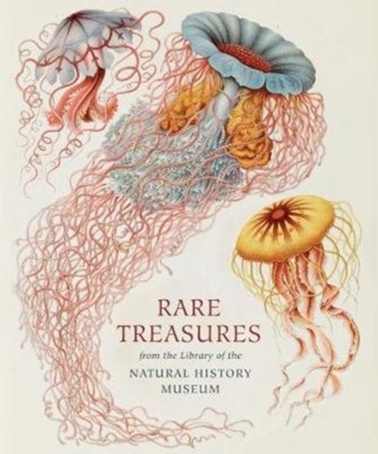 Rare Treasures : From the Library of the Natural History Museum, Hardback Book