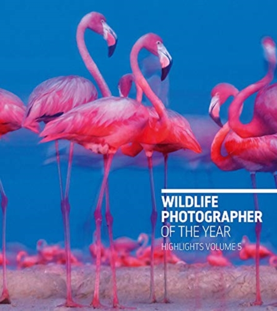 Wildlife Photographer of the Year: Highlights Volume 5, Paperback / softback Book