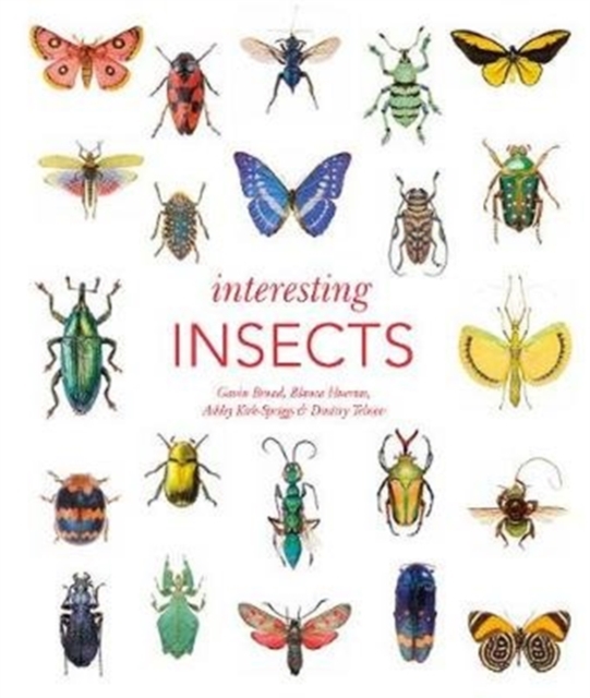 Interesting Insects, Hardback Book
