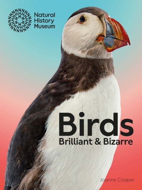 Birds : Brilliant & Bizarre, Paperback / softback Book