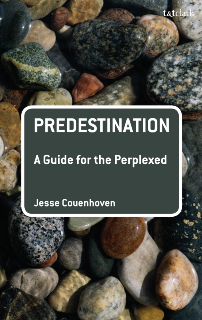 Predestination: A Guide for the Perplexed, EPUB eBook