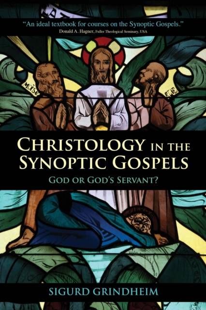 Christology in the Synoptic Gospels : God or God's Servant, EPUB eBook
