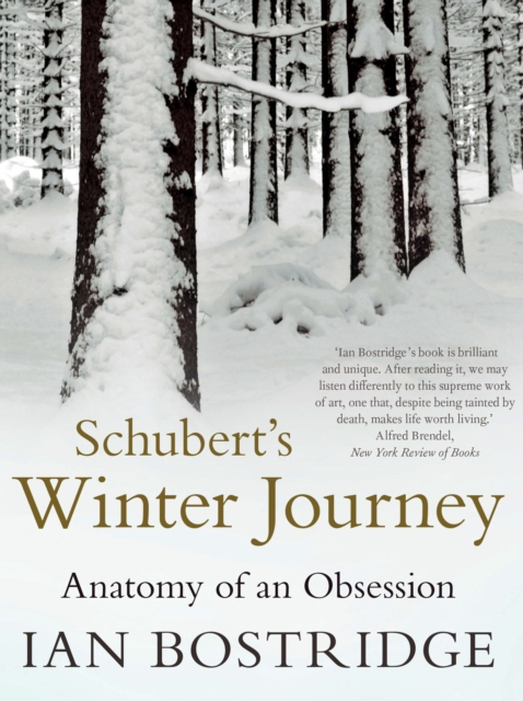 Schubert's Winter Journey : Anatomy of an Obsession, Paperback / softback Book