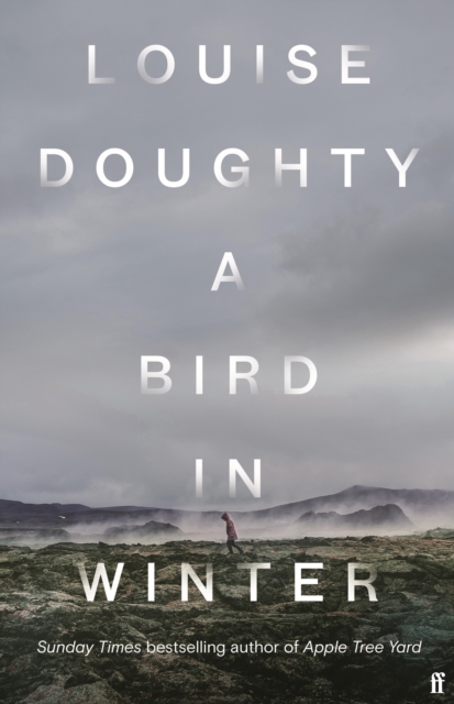 A Bird in Winter : 'Nail-Bitingly Tense and Compelling' Paula Hawkins, EPUB eBook