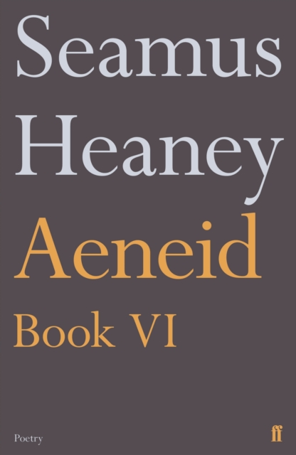 Aeneid Book VI, Paperback / softback Book