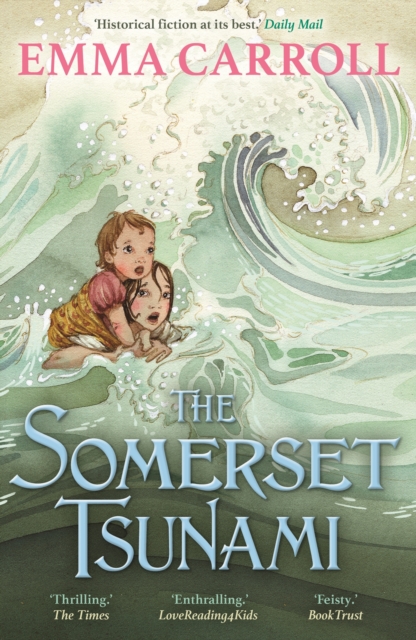 The Somerset Tsunami : 'The Queen of Historical Fiction at her finest.' Guardian, Paperback / softback Book
