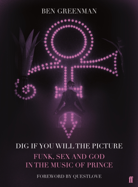 Dig If You Will The Picture : Funk, Sex and God in the Music of Prince, EPUB eBook