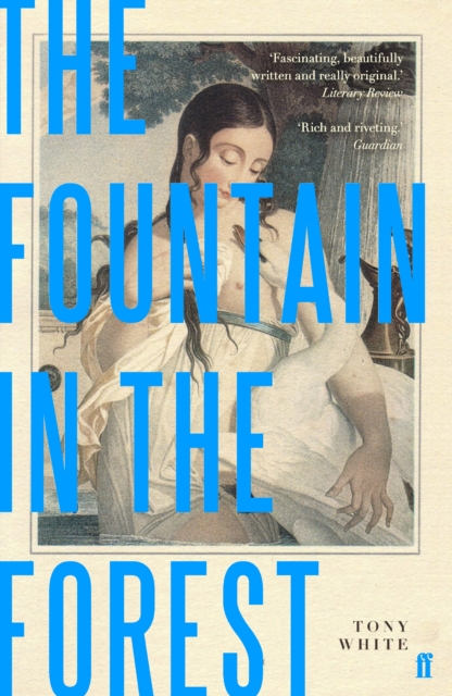 The Fountain in the Forest, Paperback / softback Book