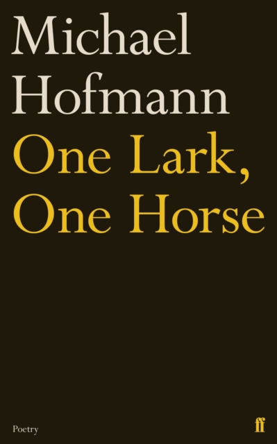 One Lark, One Horse, Hardback Book