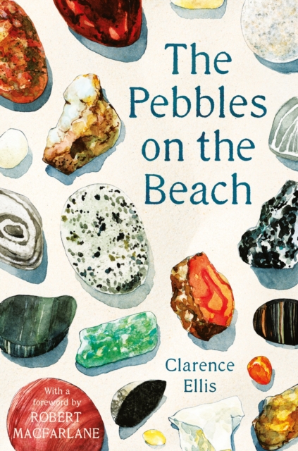 The Pebbles on the Beach, Paperback / softback Book