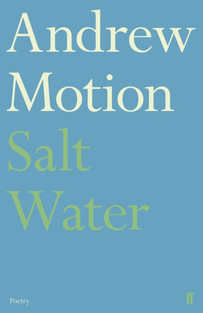 Salt Water, EPUB eBook