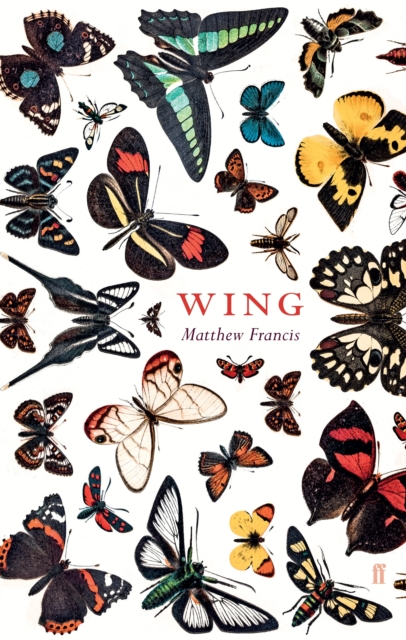 Wing, EPUB eBook