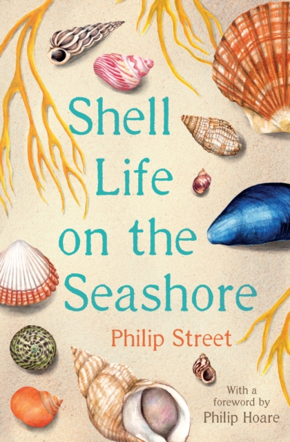 Shell Life on the Seashore, EPUB eBook