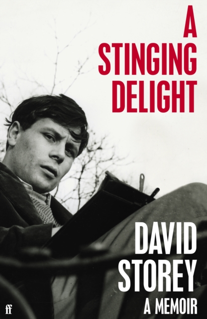 A Stinging Delight : A Memoir, Hardback Book