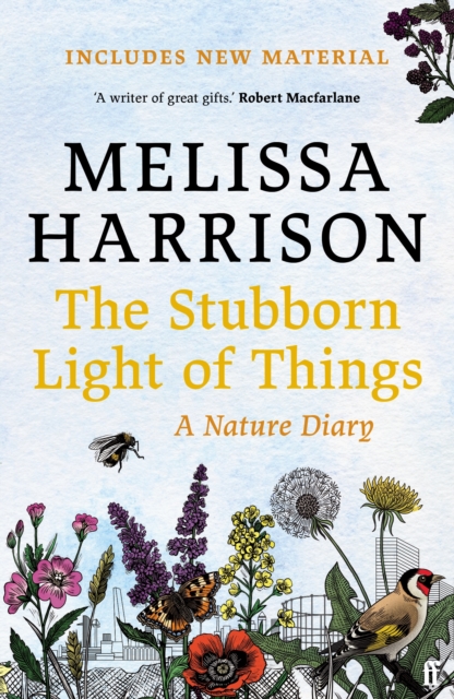 The Stubborn Light of Things, EPUB eBook