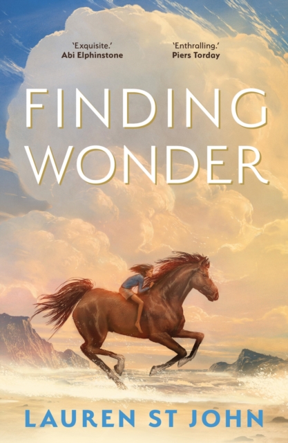 Finding Wonder, EPUB eBook