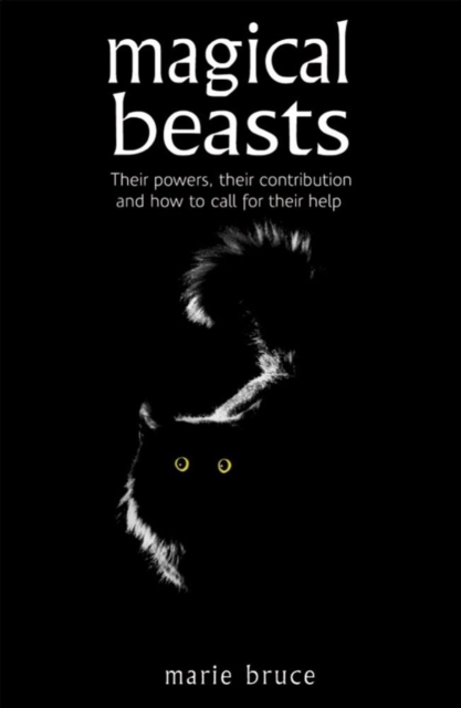 Magical Beasts, EPUB eBook