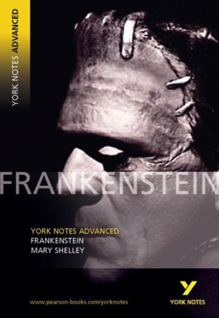 YNA2 Frankenstein everything you need to catch up, study and prepare for and 2023 and 2024 exams and assessments, Paperback / softback Book