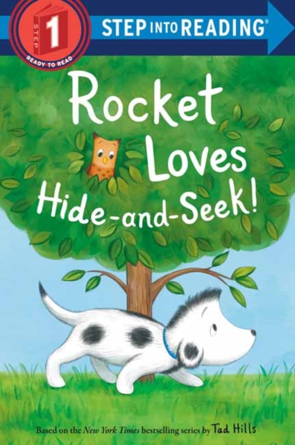Rocket Loves Hide-and-Seek!, Paperback / softback Book