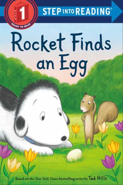 Rocket Finds an Egg, Paperback / softback Book