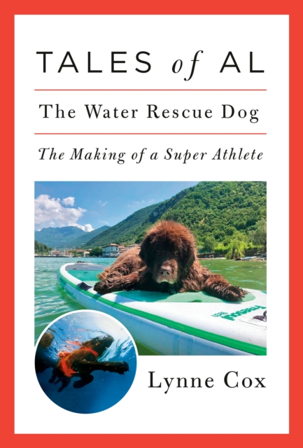 Tales of Al : The Water Rescue Dog, Hardback Book