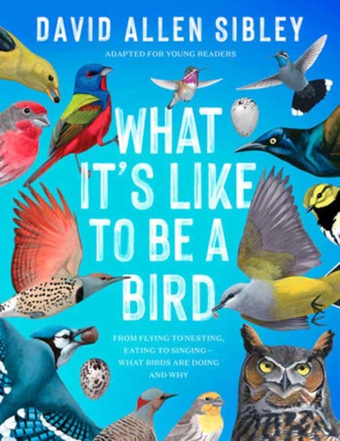 What It's Like to Be a Bird (Adapted for Young Readers) : From Flying to Nesting, Eating to Singing--What Birds Are Doing and Why, Hardback Book