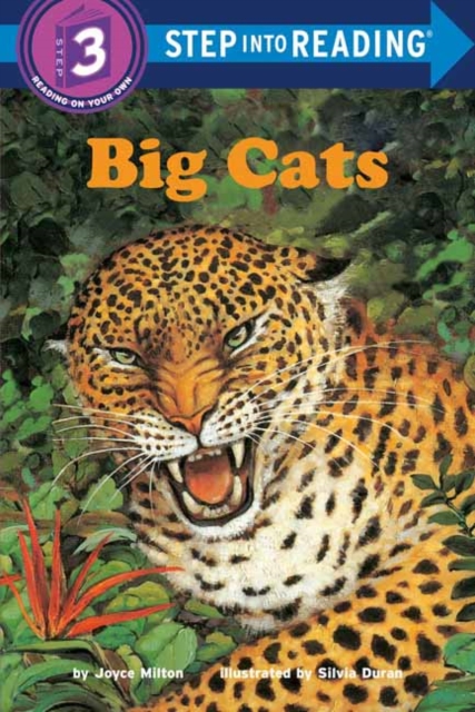 Big Cats, Paperback / softback Book
