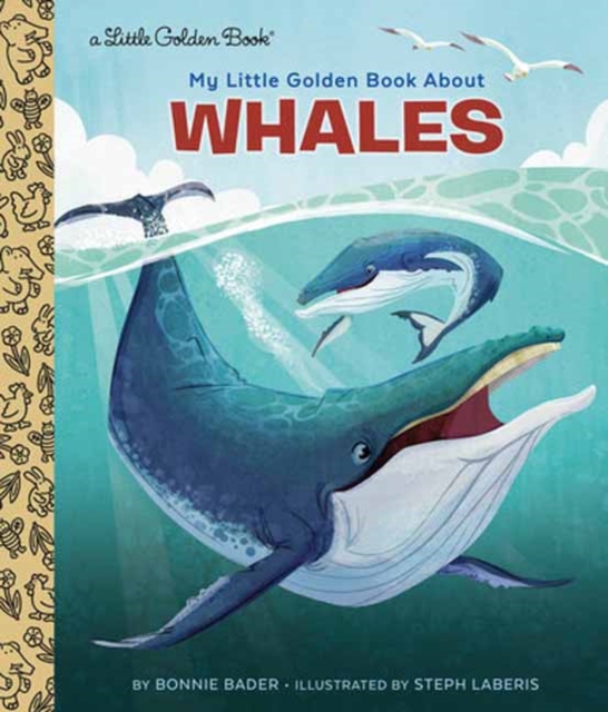 My Little Golden Book About Whales, Hardback Book