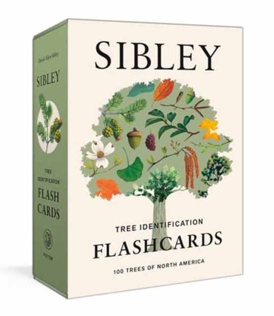 Sibley Tree Identification Flashcards : 100 Trees of North America, Cards Book