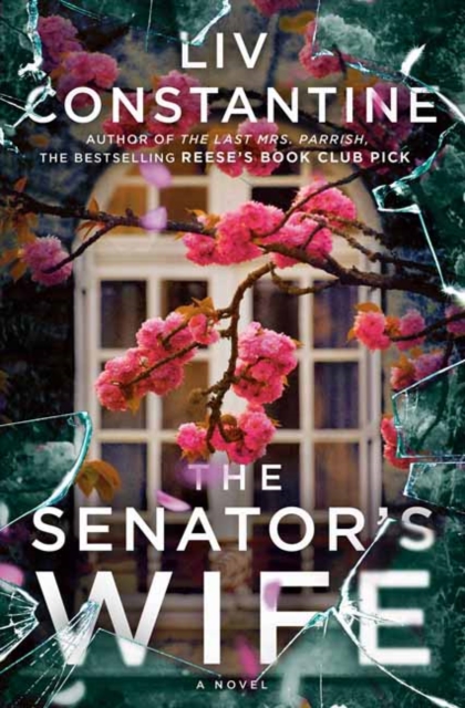 The Senator's Wife : A Novel, Hardback Book