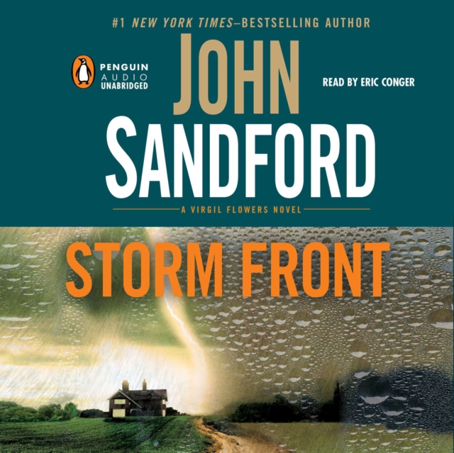 Storm Front, eAudiobook MP3 eaudioBook