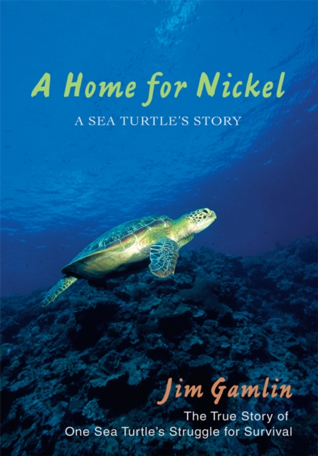 A Home for Nickel : A Sea Turtle's Story, EPUB eBook