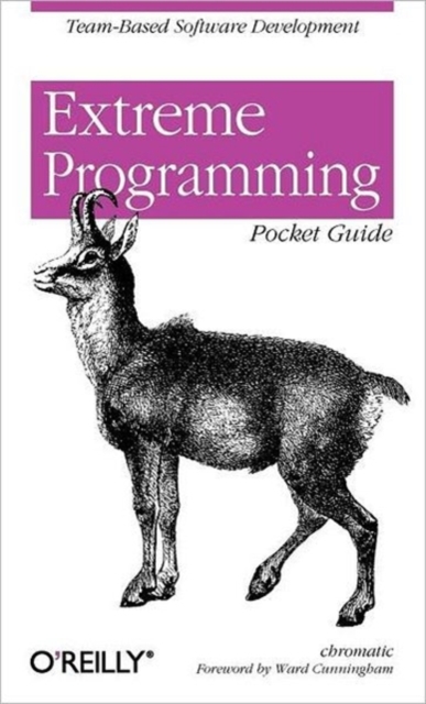 Extreme Programming Pocket Guide, Paperback / softback Book