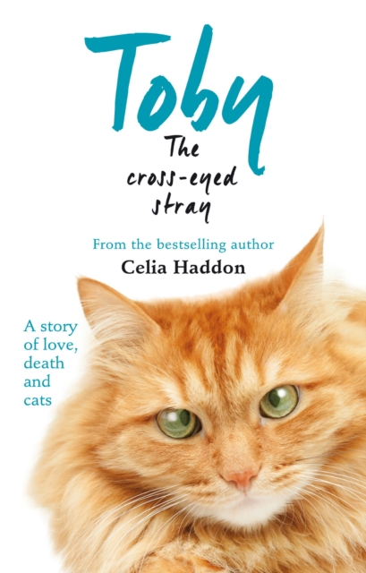 Toby The Cross-Eyed Stray, EPUB eBook