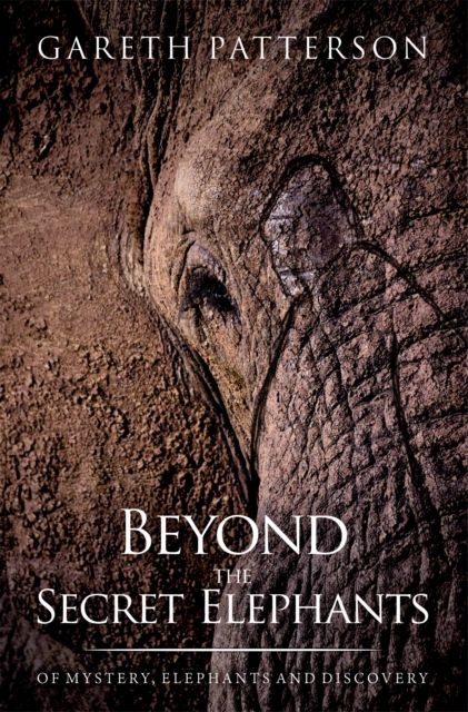 Beyond the Secret Elephants, EPUB eBook