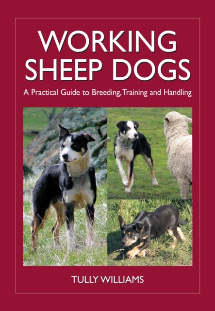 Working Sheep Dogs : A Practical Guide to Breeding, Training and Handling, PDF eBook