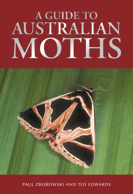 A Guide to Australian Moths, PDF eBook