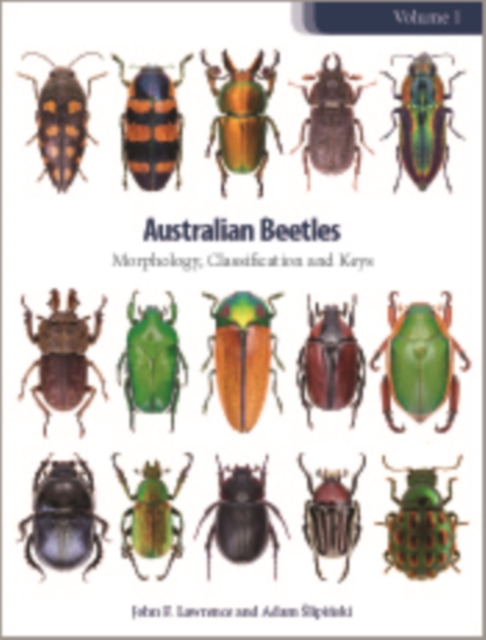 Australian Beetles Volume 1 : Morphology, Classification and Keys, PDF eBook