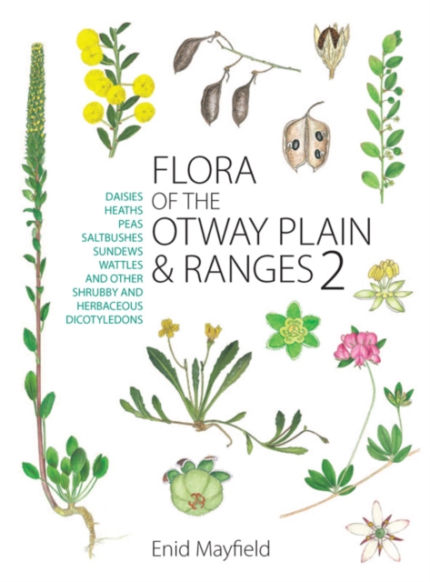 Flora of the Otway Plain and Ranges 2 : Daisies, Heaths, Peas, Saltbushes, Sundews, Wattles and Other Shrubby and Herbaceous Dicotyledons, PDF eBook