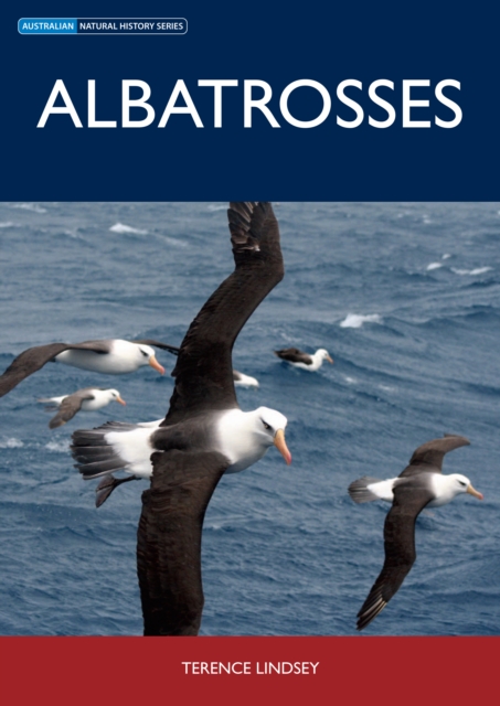 Albatrosses, EPUB eBook
