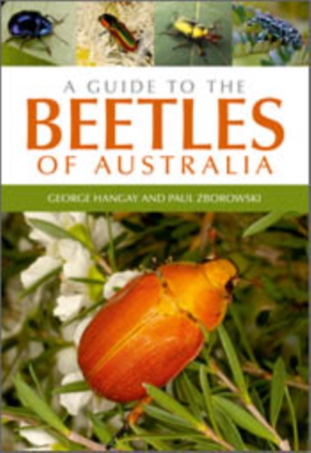 A Guide to the Beetles of Australia, PDF eBook