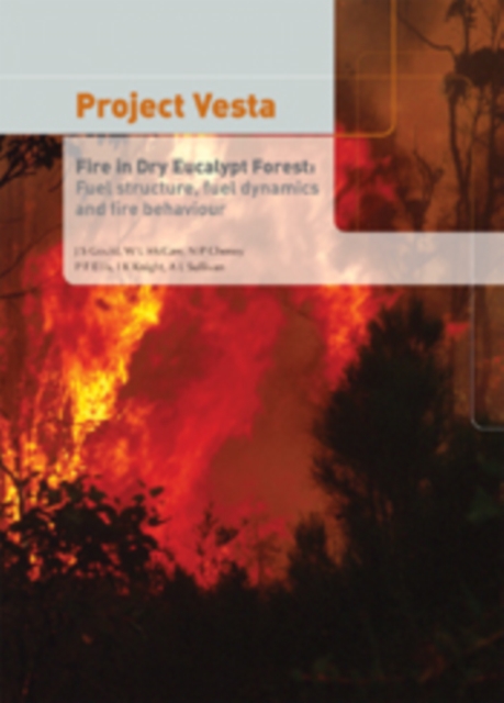 Project Vesta: Fire in Dry Eucalypt Forest : Fuel Structure, Fuel Dynamics and Fire Behaviour, PDF eBook