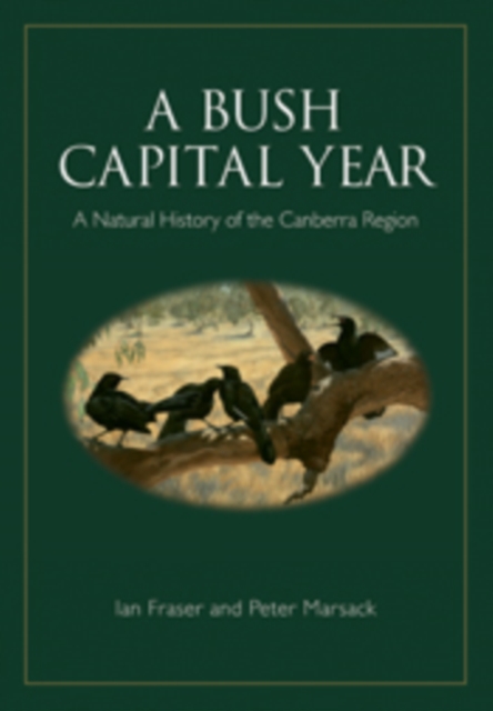 A Bush Capital Year : A Natural History of the Canberra Region, PDF eBook