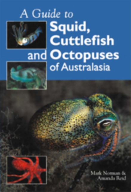 Guide to Squid, Cuttlefish and Octopuses of Australasia, EPUB eBook