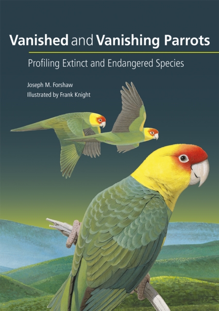 Vanished and Vanishing Parrots : Profiling Extinct and Endangered Species, EPUB eBook
