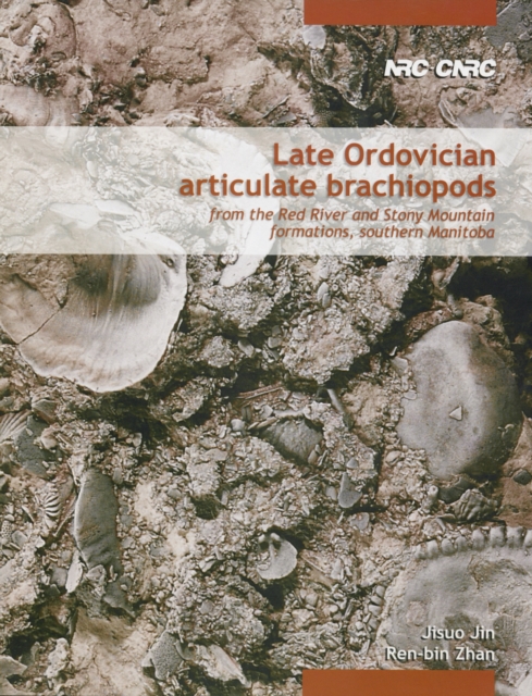 Late Ordovician Articulate Brachiopods from the Red River and Stony Mountain Formations, Southern Manitoba, PDF eBook