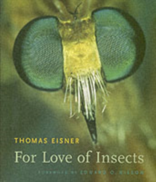 For Love of Insects, Paperback / softback Book