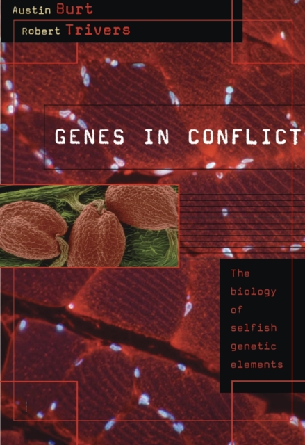 Genes in Conflict : The Biology of Selfish Genetic Elements, PDF eBook