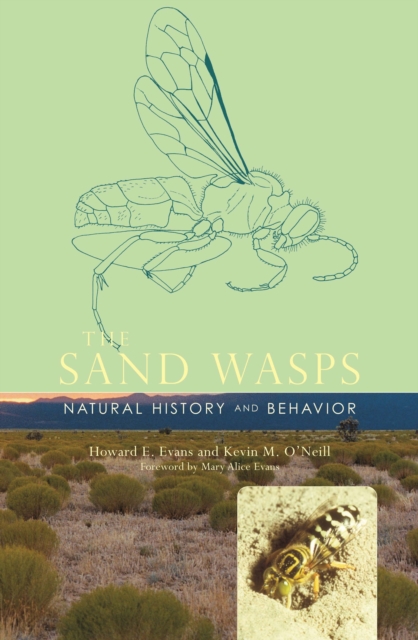 The Sand Wasps : Natural History and Behavior, PDF eBook