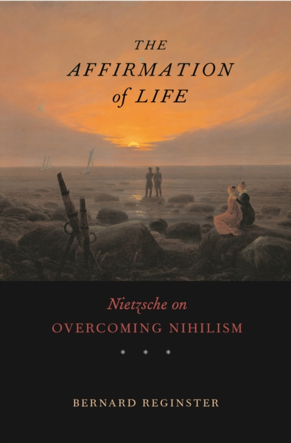 The Affirmation of Life : Nietzsche on Overcoming Nihilism, PDF eBook